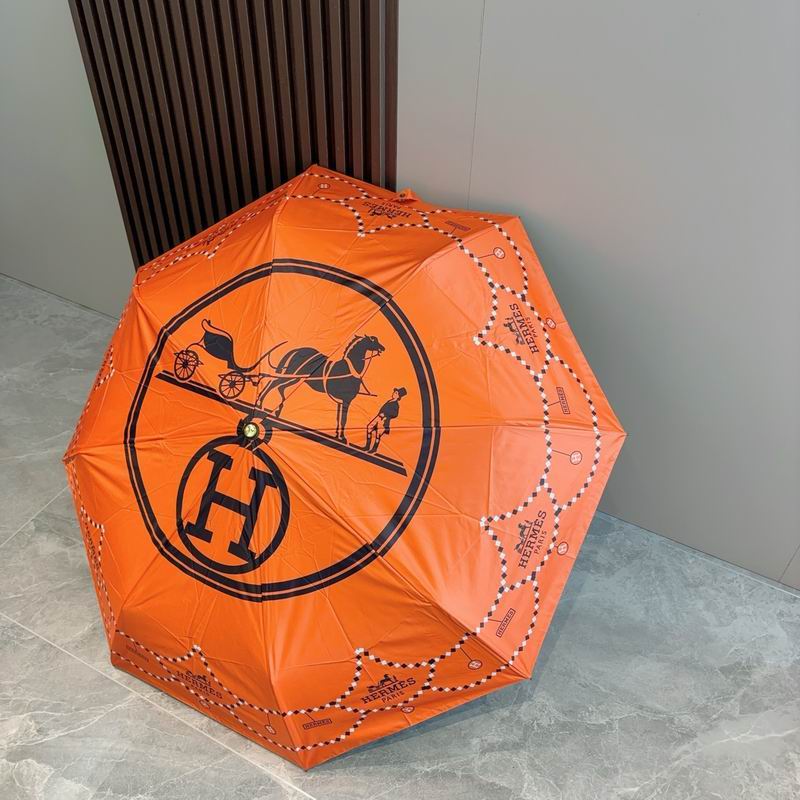 Hermes Umbrella (312)