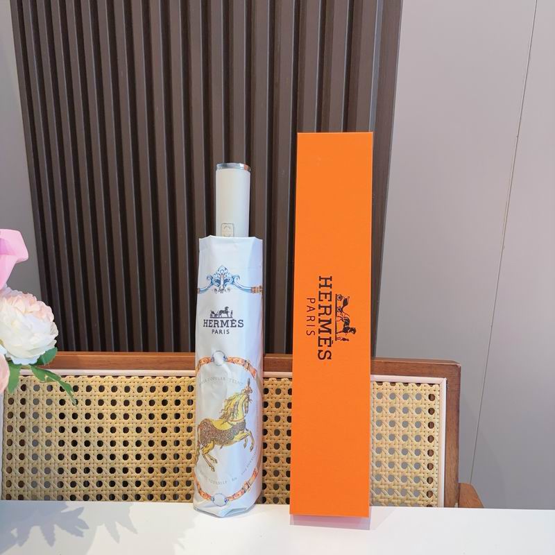 Hermes Umbrella (314)