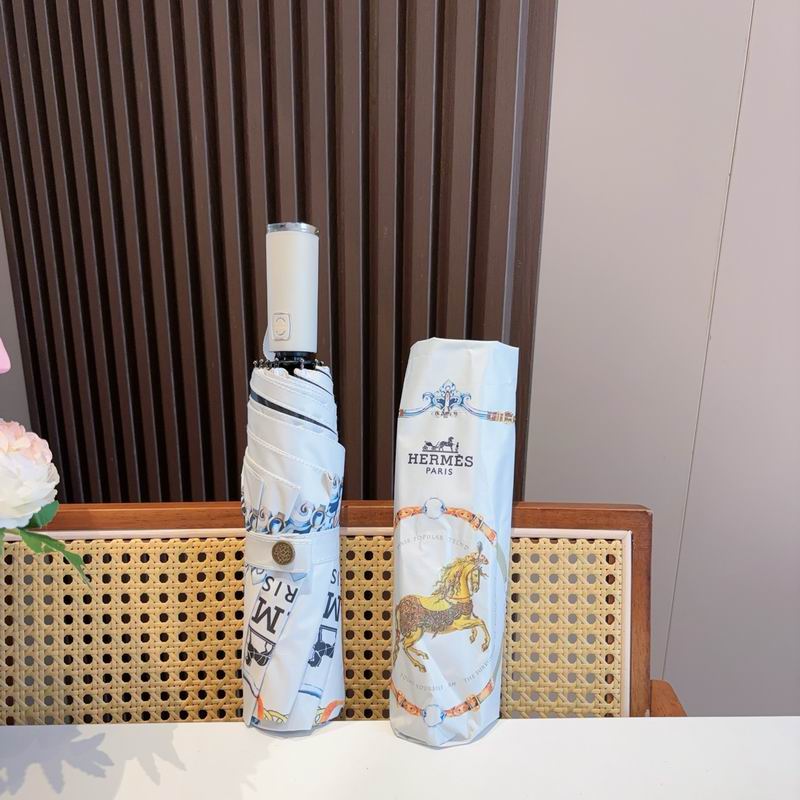 Hermes Umbrella (315)