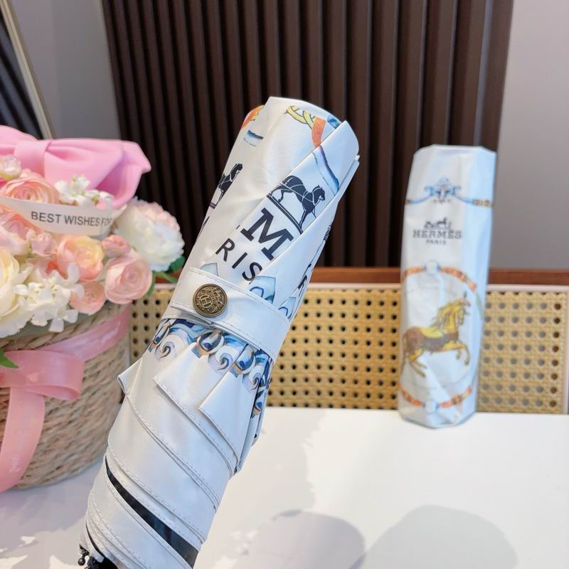 Hermes Umbrella (316)