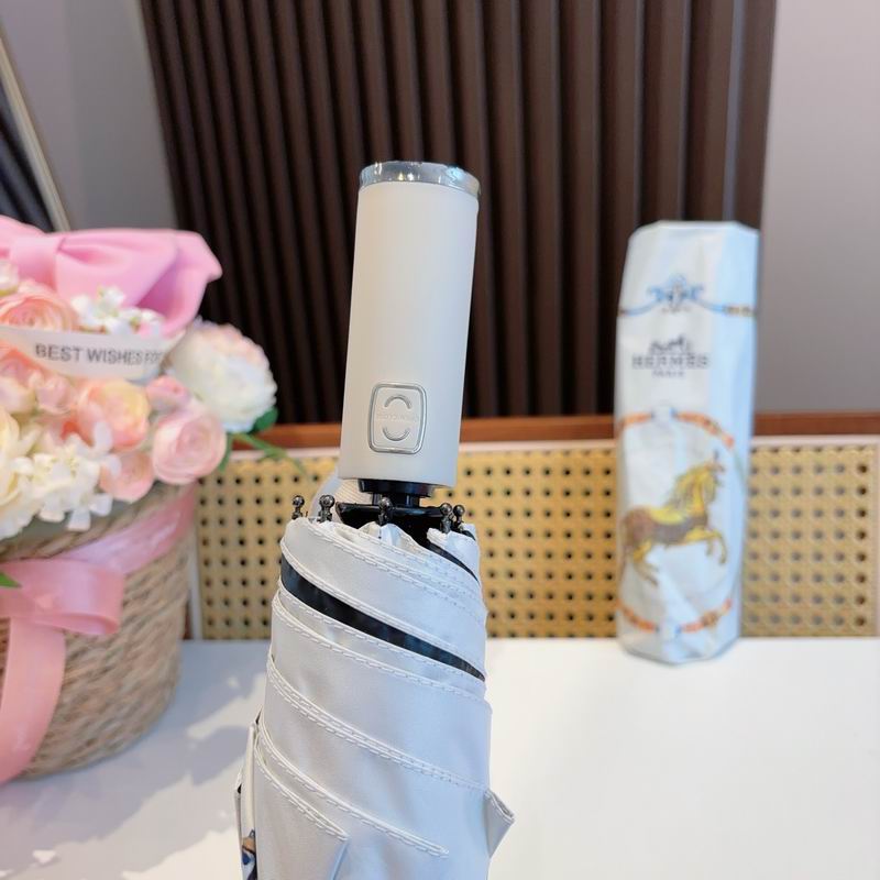 Hermes Umbrella (317)
