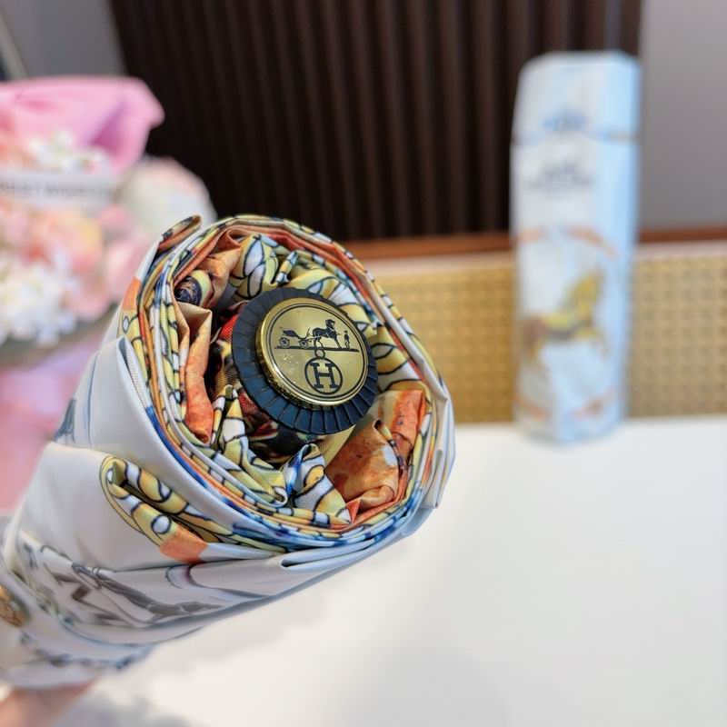 Hermes Umbrella (318)
