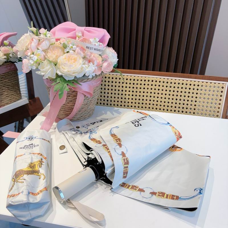 Hermes Umbrella (319)