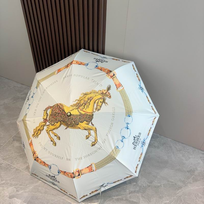 Hermes Umbrella (321)
