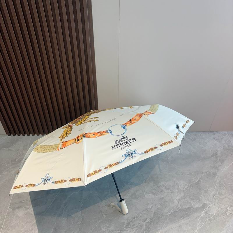 Hermes Umbrella (322)