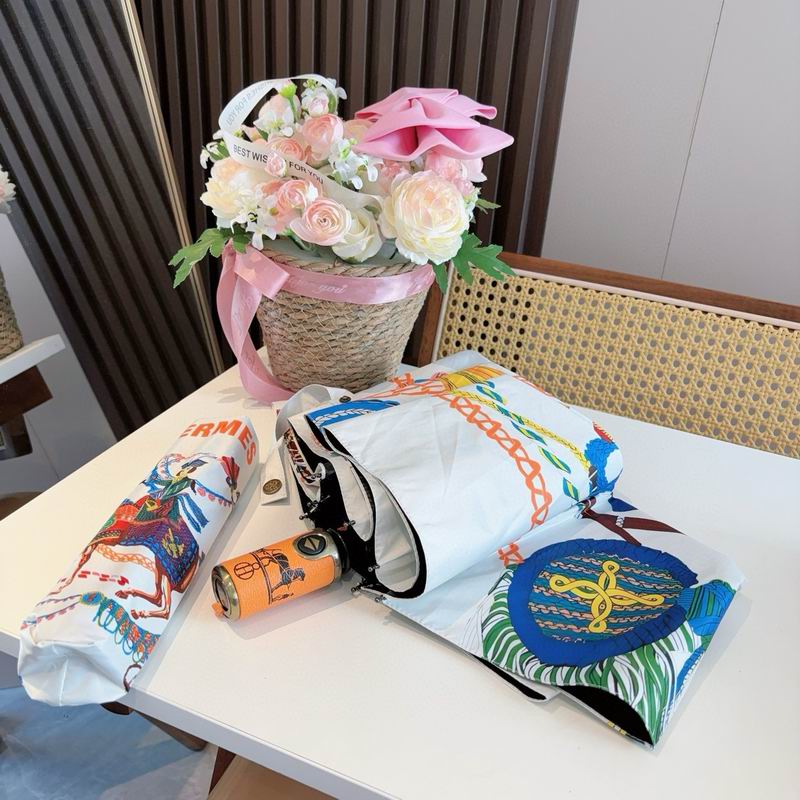 Hermes Umbrella (33)
