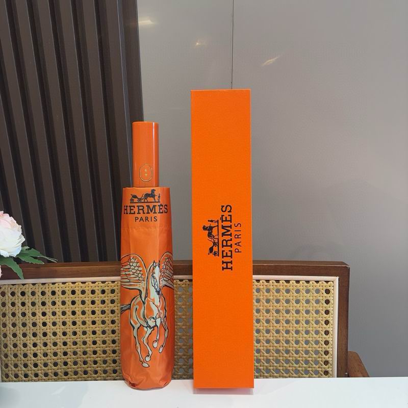 Hermes Umbrella (333)