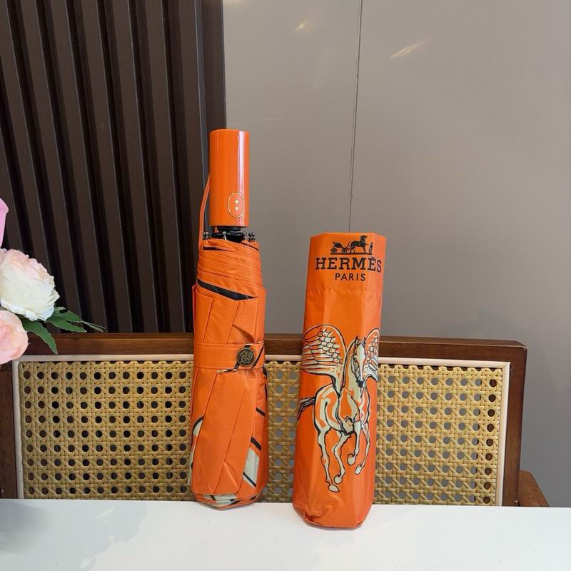 Hermes Umbrella (334)