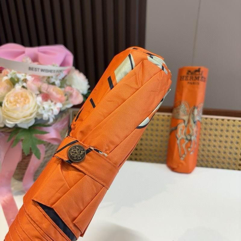 Hermes Umbrella (335)