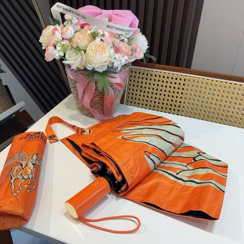 Hermes Umbrella (337)