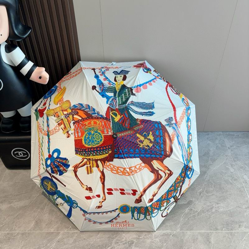 Hermes Umbrella (34)