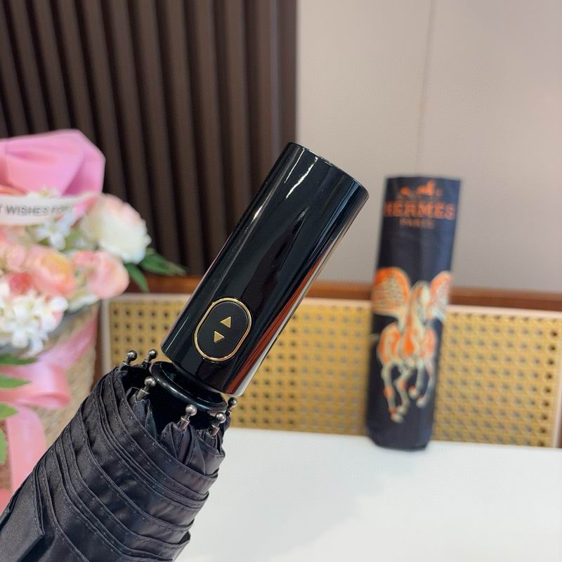 Hermes Umbrella (343)