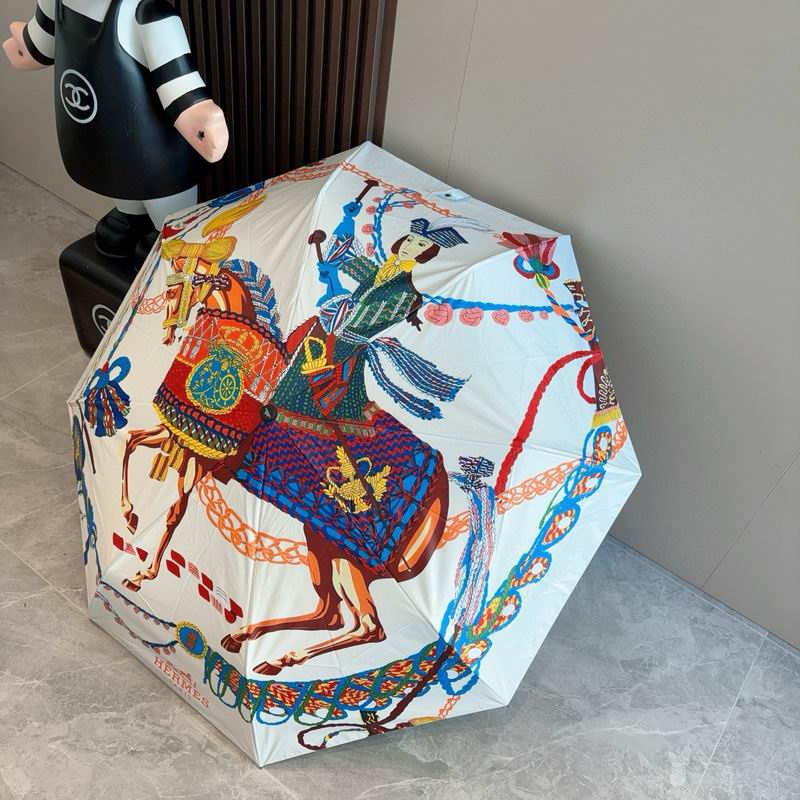 Hermes Umbrella (35)