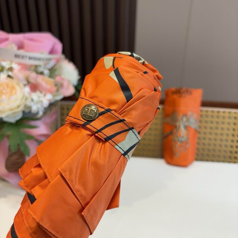 Hermes Umbrella (353)