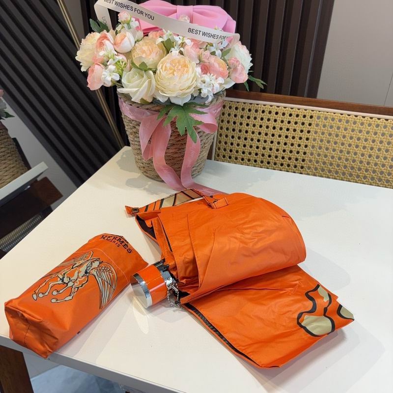 Hermes Umbrella (355)