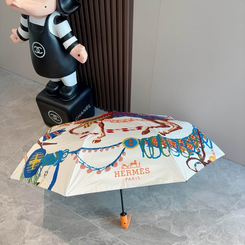 Hermes Umbrella (36)