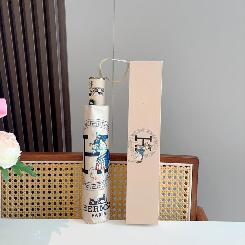 Hermes Umbrella (37)