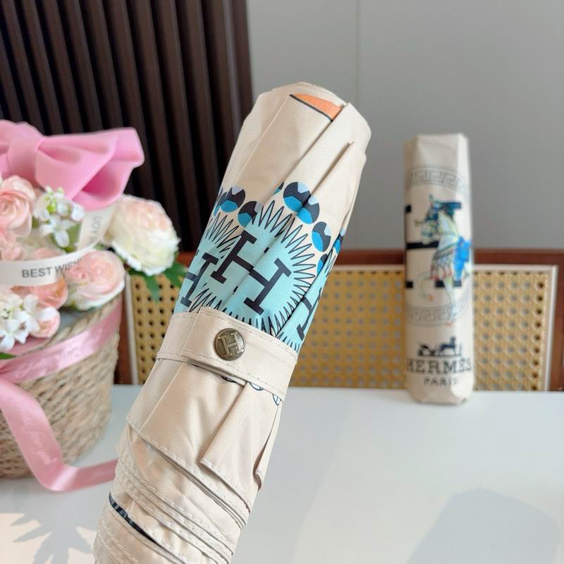 Hermes Umbrella (39)