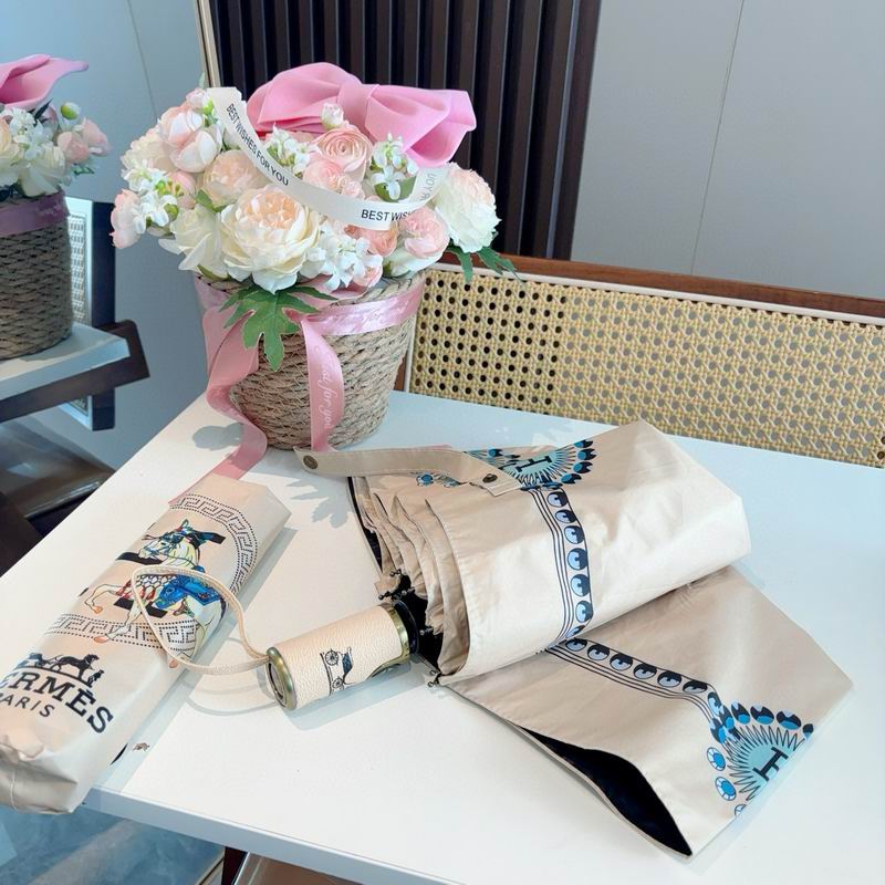 Hermes Umbrella (42)