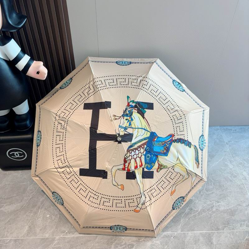 Hermes Umbrella (43)