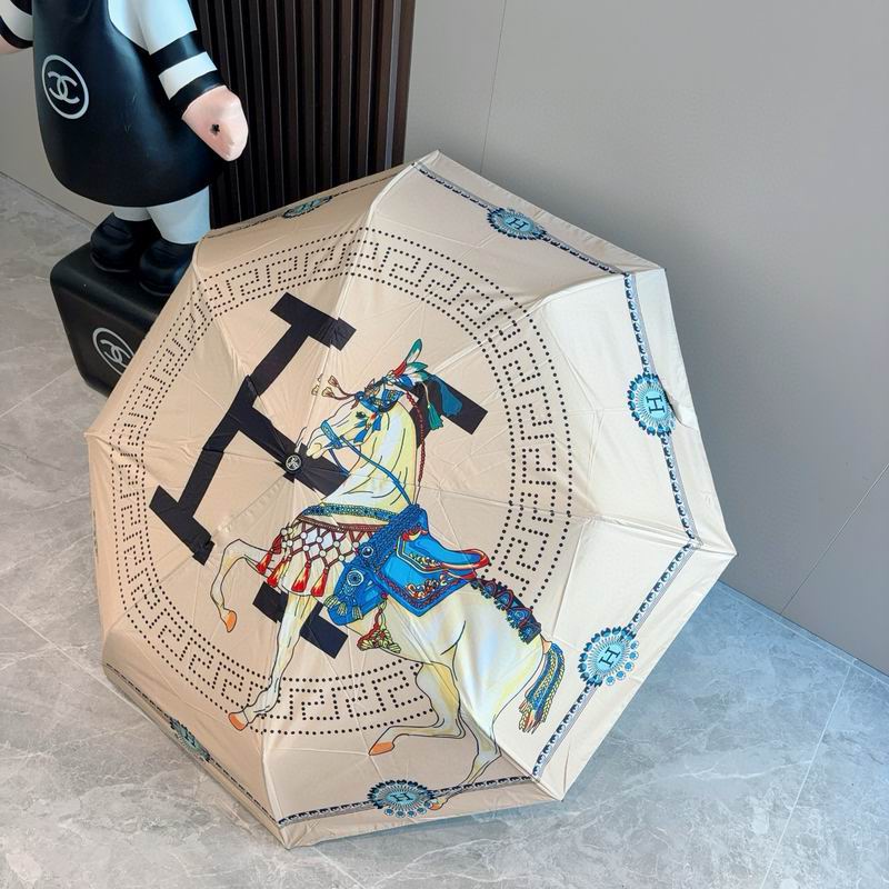 Hermes Umbrella (44)