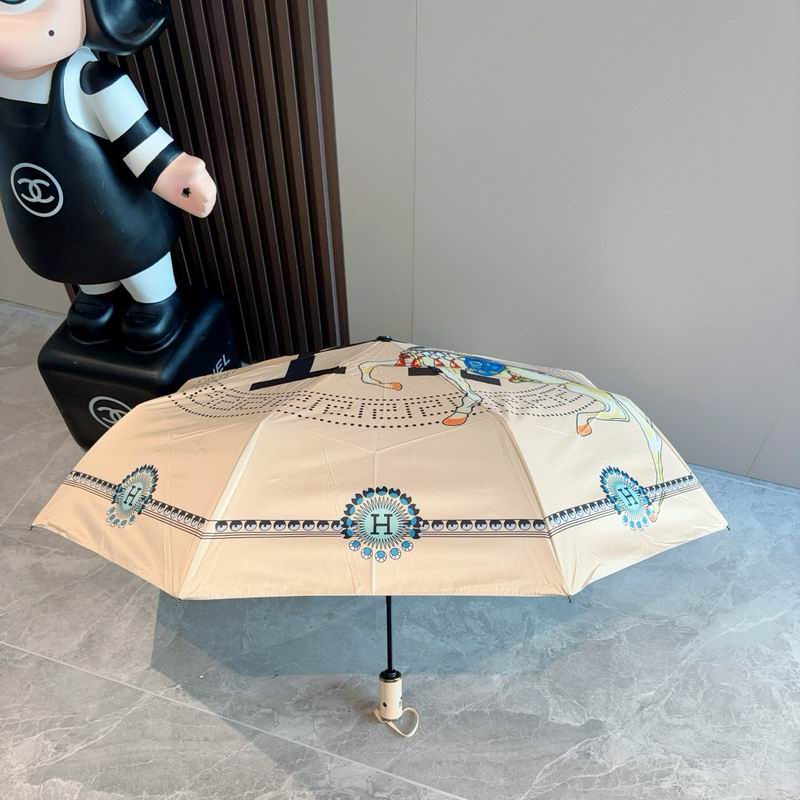 Hermes Umbrella (45)