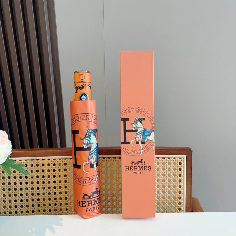 Hermes Umbrella (46)