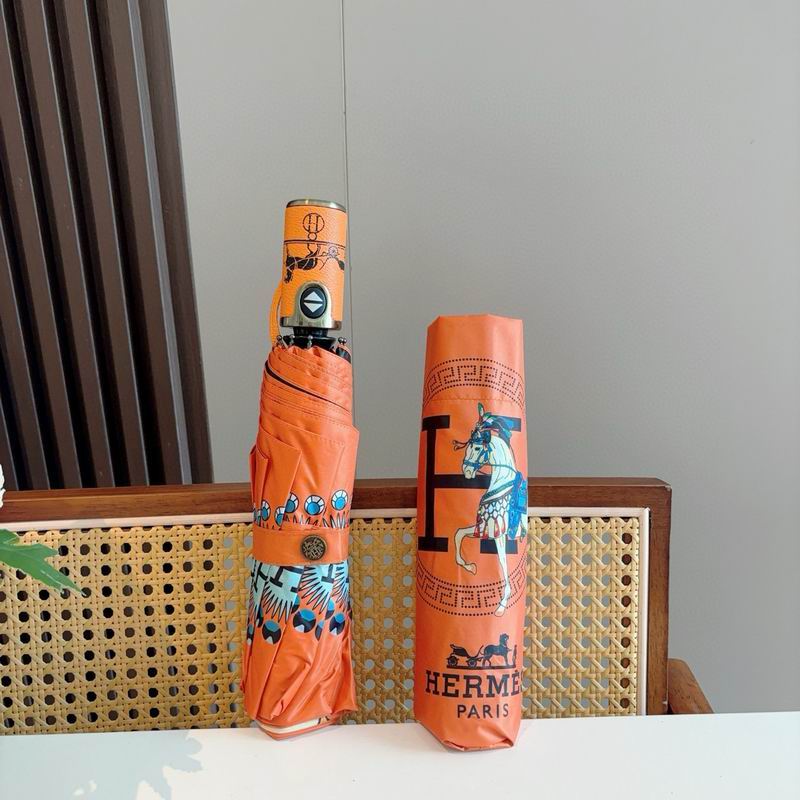 Hermes Umbrella (47)