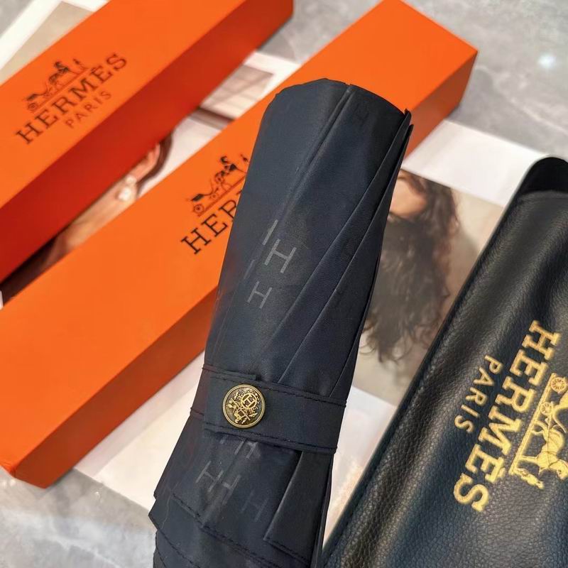 Hermes Umbrella (480)