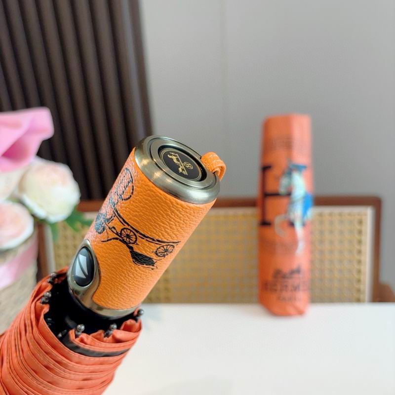 Hermes Umbrella (49)