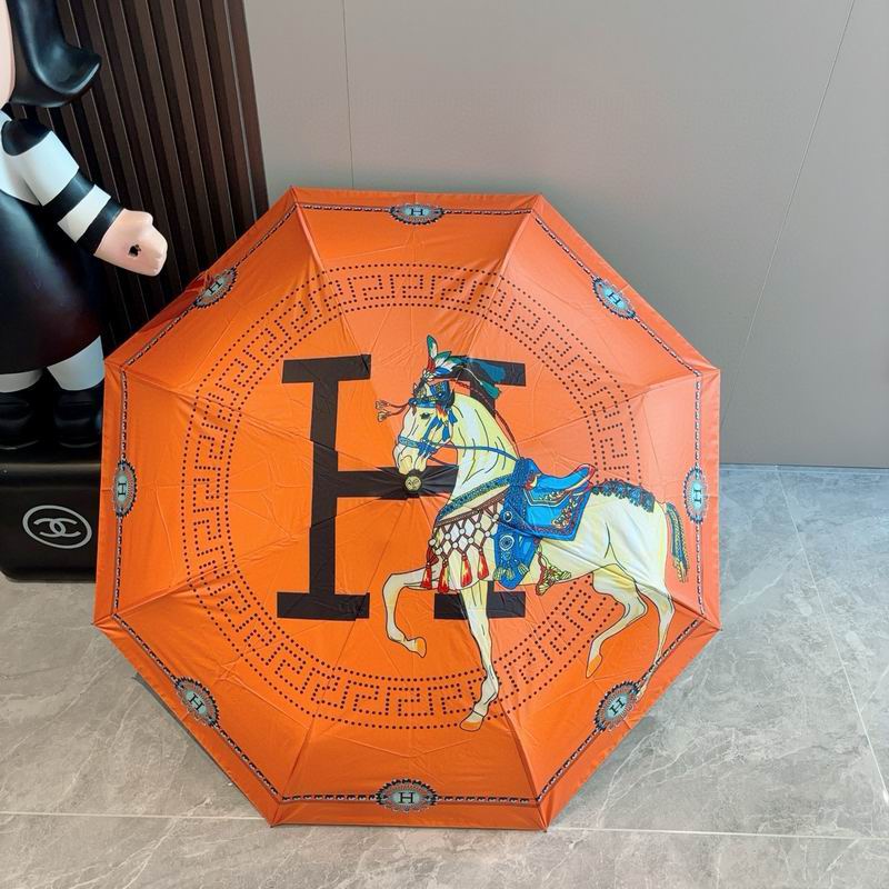 Hermes Umbrella (52)