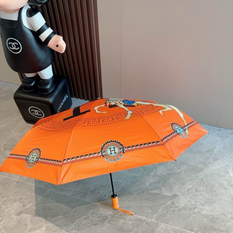 Hermes Umbrella (54)
