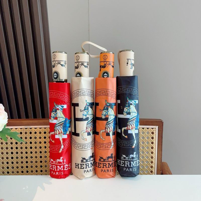 Hermes Umbrella (55)