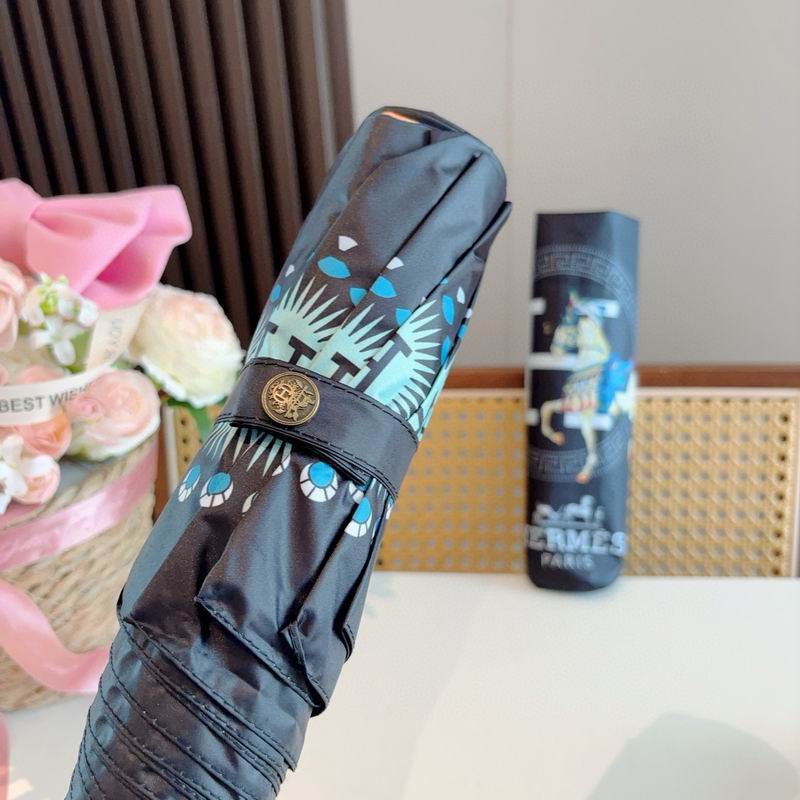 Hermes Umbrella (57)