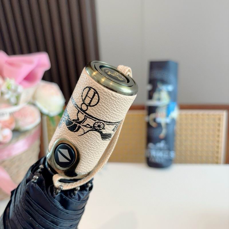 Hermes Umbrella (58)