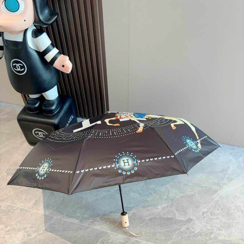 Hermes Umbrella (63)