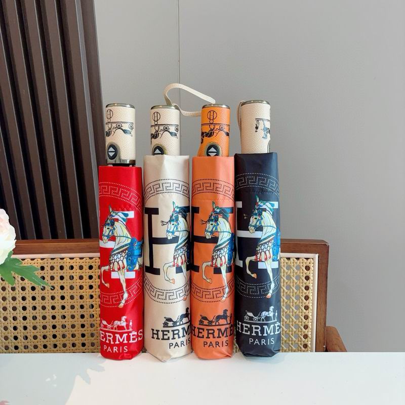 Hermes Umbrella (64)