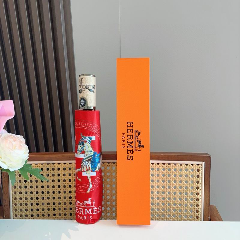 Hermes Umbrella (65)