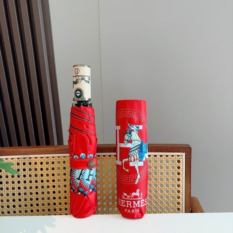 Hermes Umbrella (66)