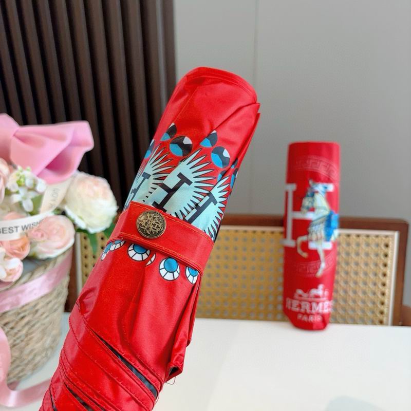 Hermes Umbrella (67)
