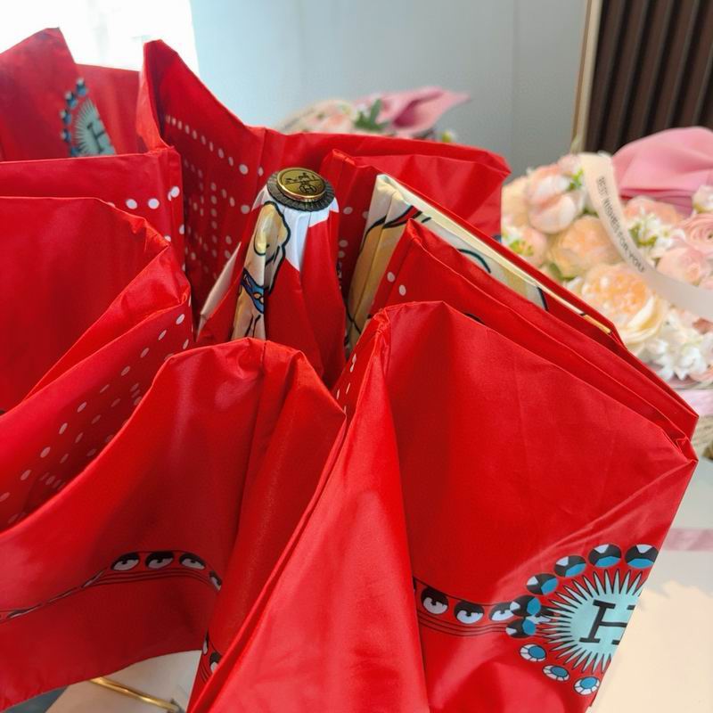 Hermes Umbrella (68)