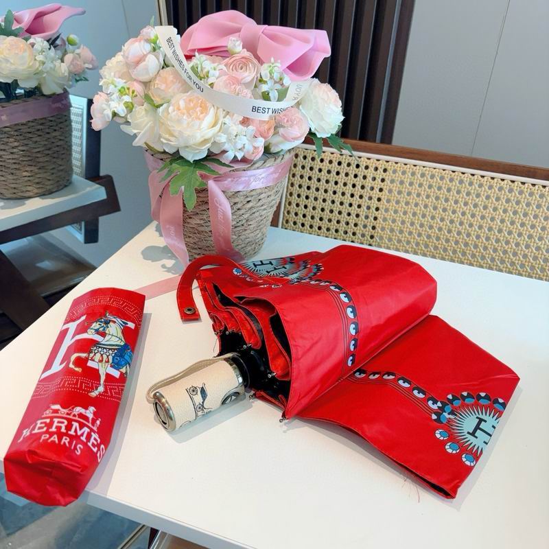 Hermes Umbrella (69)