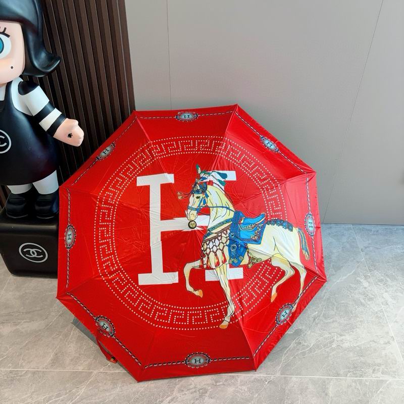 Hermes Umbrella (70)