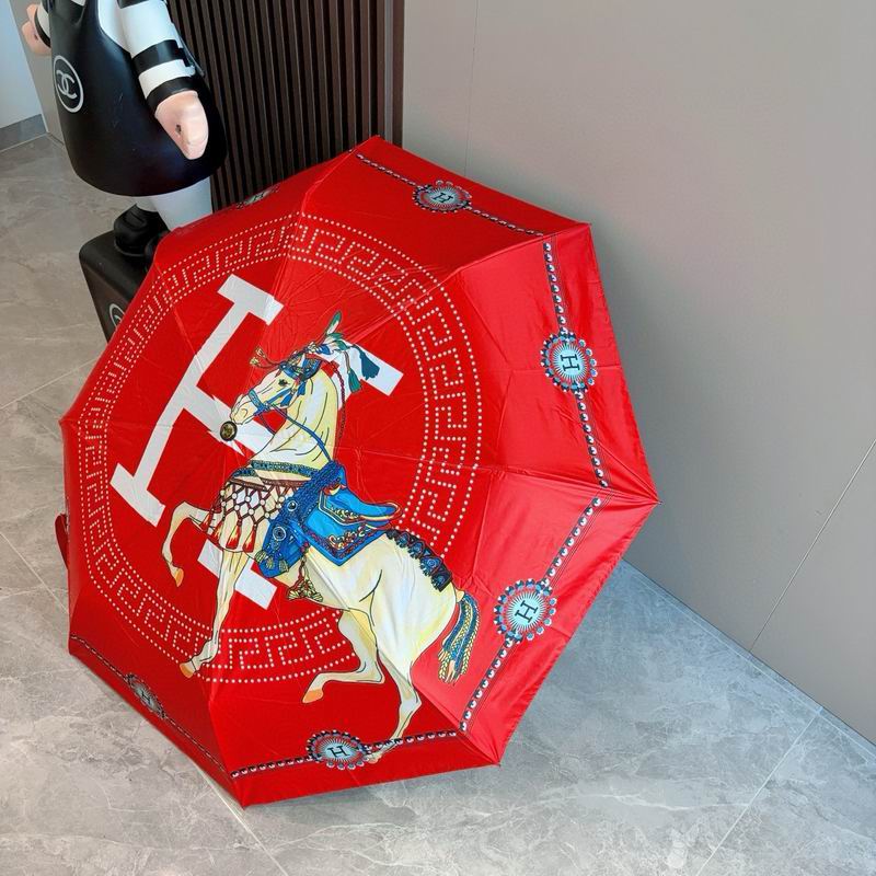 Hermes Umbrella (71)