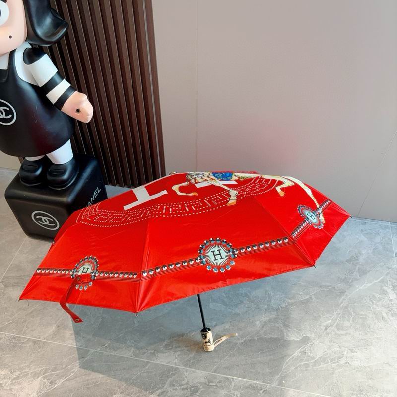 Hermes Umbrella (72)