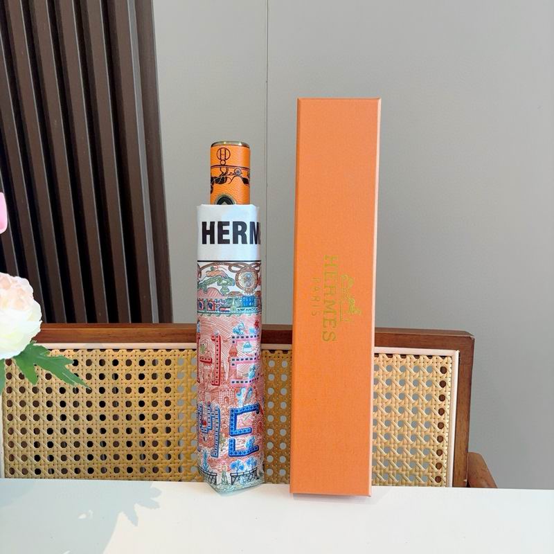 Hermes Umbrella (73)