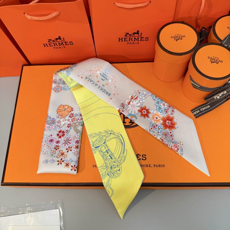 Hermes silk ribbon 5X86.5cm E09 (23)