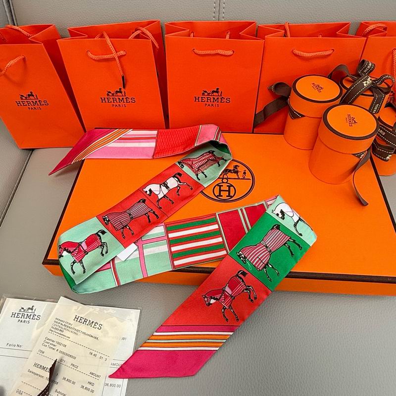 Hermes silk ribbon E11 (17)