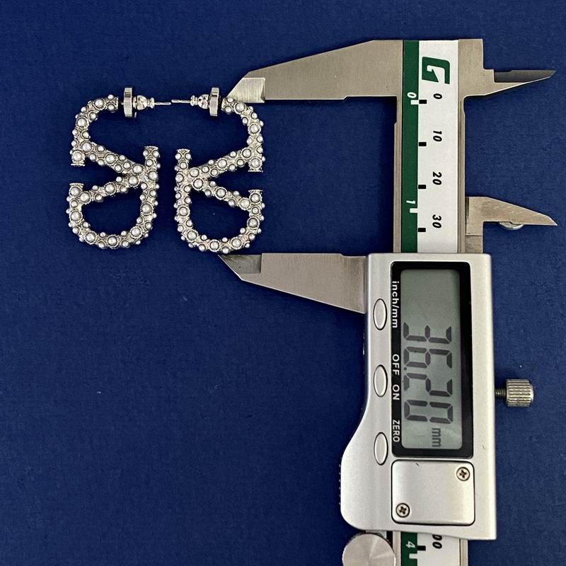 Valentino earring 03yxh113 (5)