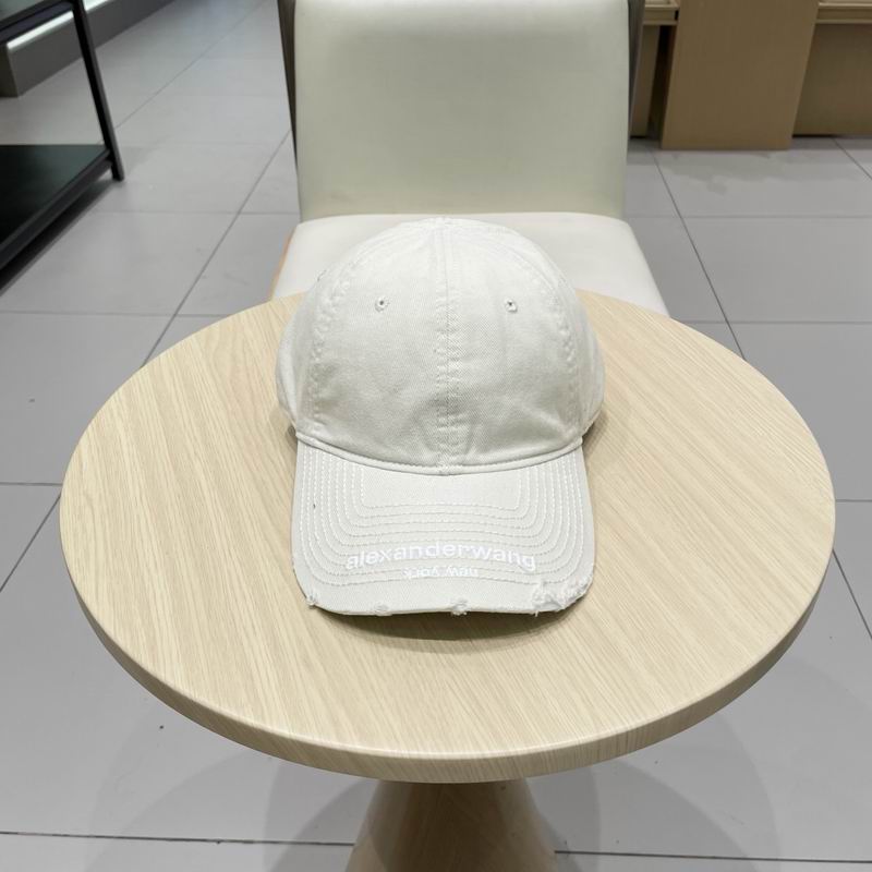 Alexander Wang cap (10)